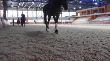 Equestrian sports on arena - kids and adults on horsebacks