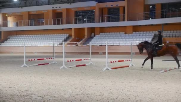Equestrian sports - a woman jumping over the series of barriers on the horseback - a man passes by — Stock video