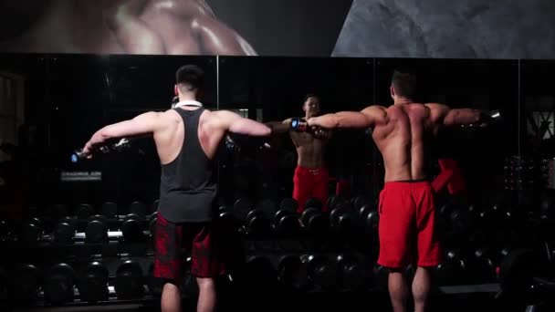 ジムトレーニング-鏡の前で2人の男性のトレーニング-ダンベルを持ち上げる — ストック動画