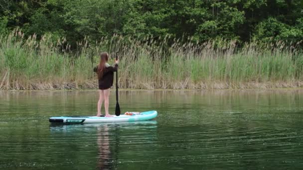 Young slim woman standing on the board in the river - extends the length of a paddle — Stock Video