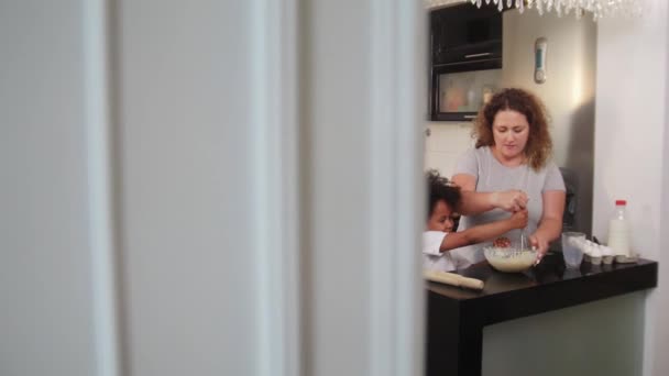 Kleines schwarzes Mädchen mit ihrer weißen Mutter, die mit einem Schneebesen einen Teig für die Cupcakes herstellt — Stockvideo