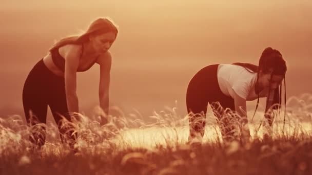 Dos mujeres jóvenes haciendo ejercicios de calentamiento en el campo de trigo al atardecer - agachándose — Vídeos de Stock