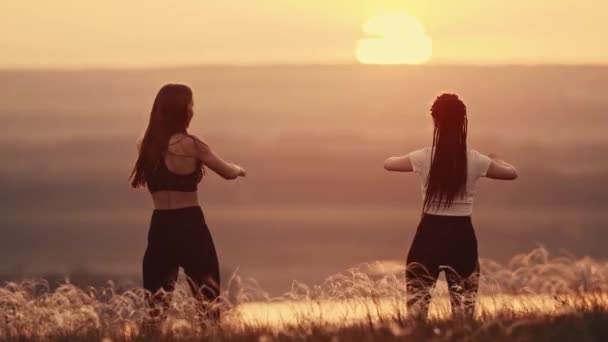 Två unga kvinnor gör uppvärmningsövningar på solnedgångs vetefält — Stockvideo