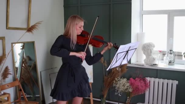 Joven mujer rubia músico tocando el violín por notas — Vídeos de Stock