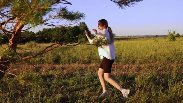 Schwerttraining - junge Frau wedelt am frühen Abend mit einem Schwert über die Natur — Stockvideo