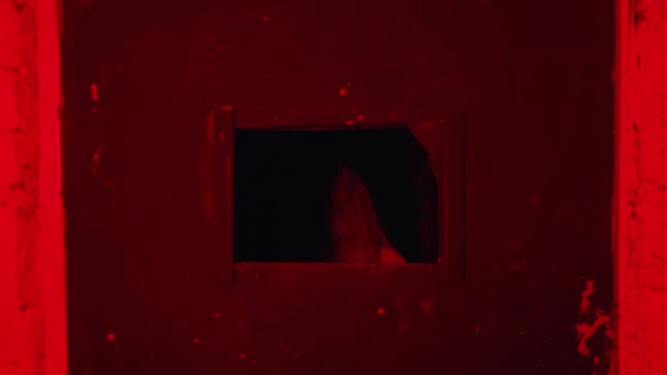 Skräckskådespeleri - en kvinna i tvångströja som står bakom dörren på mentalsjukhus och tittar ut genom det lilla fönstret — Stockvideo