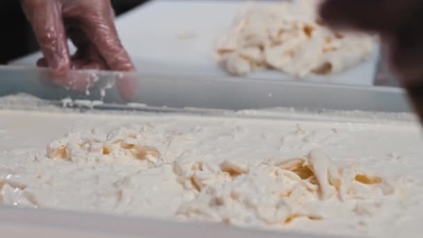 Un homme mélange des morceaux de fromage doux avec une spatule dans une cuve de liquide — Video