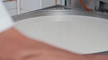 Peynir fabrikası. Taze peyniri jiletle kesen bir işçi.
