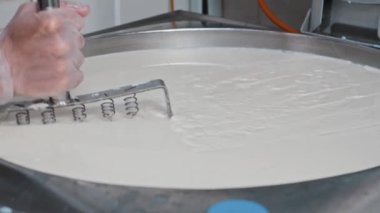 Peynir fabrikası - işçi büyük bir usturayla fıçıda taze peynir kesiyor.