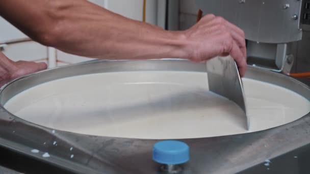 Cheese production - man worker working with a vat with the basis for soft cheese - checking the base with an iron plate — Stock Video