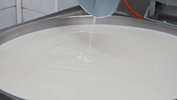 Cheese factory - man worker working with a vat with the basis for soft cheese - checking the base with a round iron plate — Stock Video