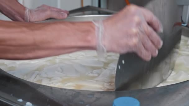 Továrna na sýry - muž dělník míchající čerstvé kousky měkkého sýra v kádi s velkým železným talířem — Stock video