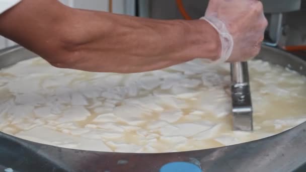 Fábrica de queso - trabajador del hombre que corta queso fresco suave en la cuba con una cuchilla grande en pedazos — Vídeo de stock