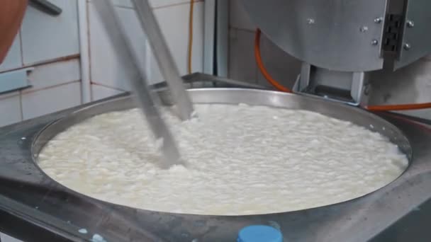 Fábrica de quesos - Trabajador con guantes cortando queso fresco suave en la cuba con una cuchilla grande en trozos — Vídeos de Stock