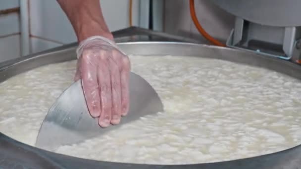La fábrica del queso - el trabajador de hombre en los guantes que mezclan los pedazos frescos del queso suave en la tina con la plancha grande — Vídeos de Stock