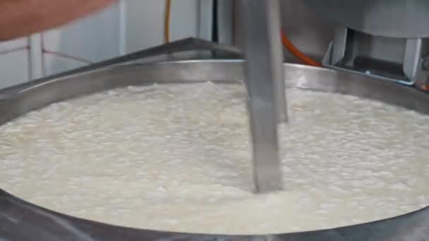 Továrna na sýr - muž dělník v rukavicích míchající čerstvé kousky měkkého sýra v kádi s velkým řezným nástrojem — Stock video