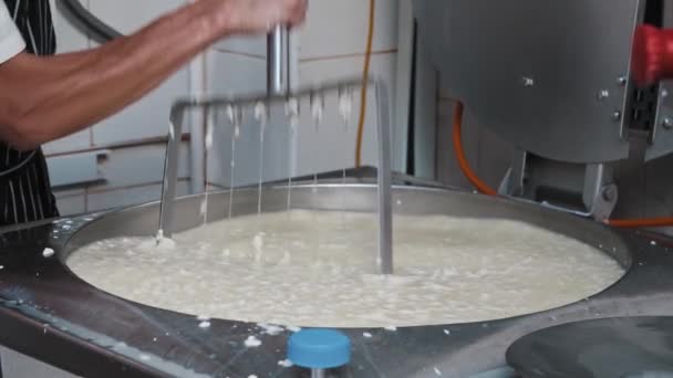 Industria casearia - lavoratore in guanti che mescola pezzi freschi di un formaggio morbido nella vasca con un grande strumento di taglio — Video Stock