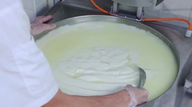 Eldivenli bir erkek işçi fıçıda büyük bir parça yumuşak peyniri büyük bir demir tabakla karıştırıyor.