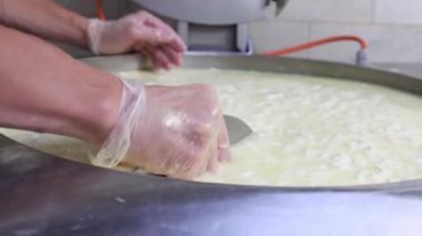 Üretim fabrikasında yumuşak peynirle büyük bir demir tabağı karıştıran bir işçi.