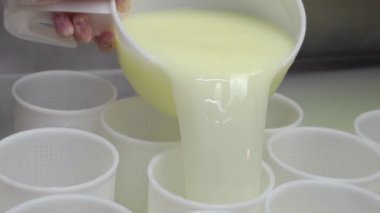Peynir fabrikası. Yumuşak peynirle sıvıyı süzüyor.