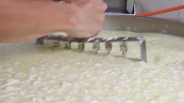 Trabajador masculino en guantes mezclando y cortando trozos de queso blando en la cuba con un instrumento de afeitar grande — Vídeos de Stock