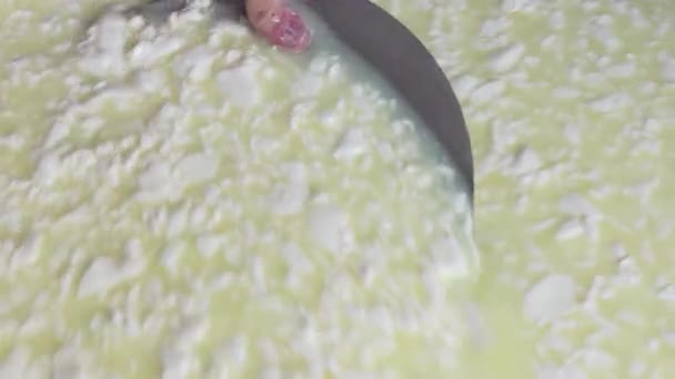 Male worker in gloves mixing pieces of a soft cheese in the vat with a big iron plate at the factory — Stock Video