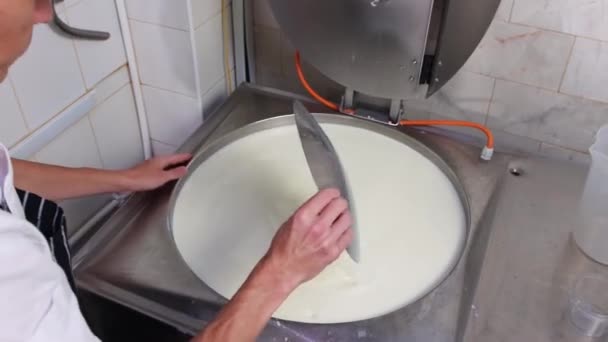 Male worker putting an iron plate into the vat with base for soft cheese at the factory — Stock Video