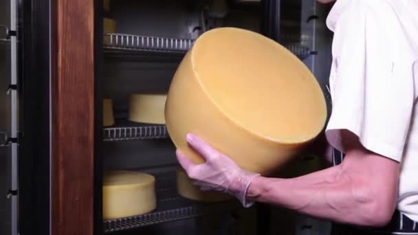 Мужчина в ресторане кладет большую сырную голову в холодильник — стоковое видео