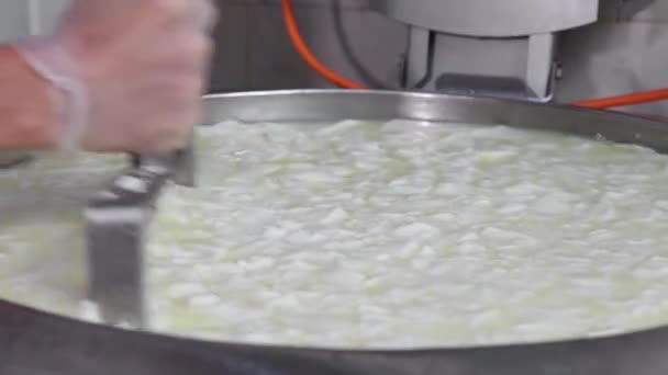 Ένας άνθρωπος που εργάζεται στο εργοστάσιο παραγωγής τυριών - κόβοντας την ουσία με ένα μεγάλο όργανο — Αρχείο Βίντεο