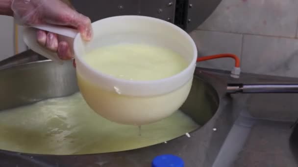 Fábrica de quesos: filtrar el líquido con queso suave fresco a través de un colador — Vídeo de stock