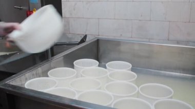 Peynir fabrikası - Eldivenli adam yumuşak peynirle sıvıyı süzüyor.