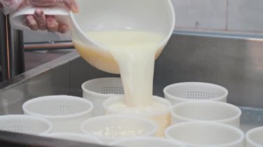 Peynir üreten fabrika - Eldivenli işçi yumuşak peynirle sıvıyı süzüyor.