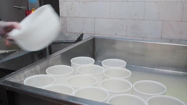 Сырный завод - человек в перчатках фильтрует жидкость с мягким сыром через дуршлаг — стоковое видео