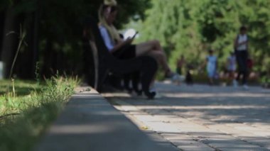 Yaz parkı. Tekerlekli sandalyedeki biri kaldırıma yaklaşır ve durur.