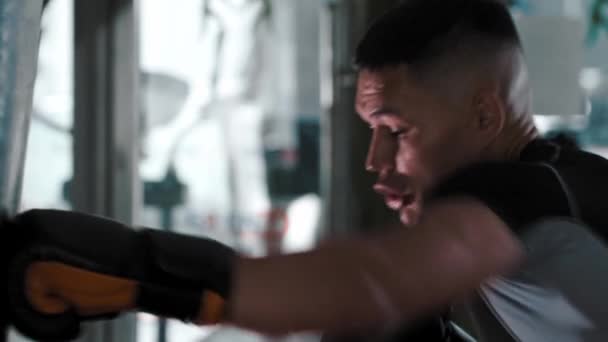 Hombre joven en entrenamiento de camiseta deportiva con un saco de boxeo — Vídeos de Stock