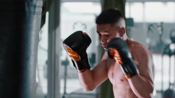 Entrenamiento de boxeo - joven luchando con un saco de boxeo — Vídeos de Stock