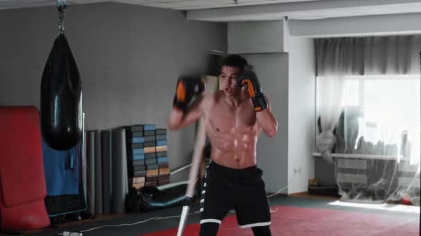 Shirtless svettig ung man boxare utbildning för att undvika i gymmet — Stockvideo