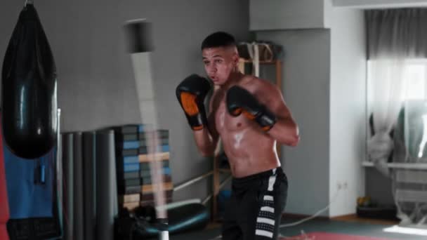 Sudor joven boxeador entrenamiento para esquivar en el gimnasio — Vídeo de stock