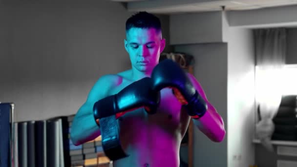 Póló nélküli fiatalember bokszoló bokszoló kesztyűt tesz kék és lila neon világítás — Stock videók