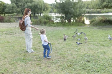 Anne ve oğlu güneşli bir günde parkta ördek ve güvercin besliyorlar.