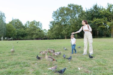 Anne ve oğlu güneşli bir günde çimenli bir parkta kuşları besliyor.
