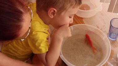 Little boy and his mother looking at a goldfish swimming in a bowl of water at home