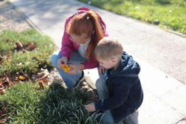 Kadın ve çocuk bir park ortamında çiçek ve bitkiler keşfediyor.