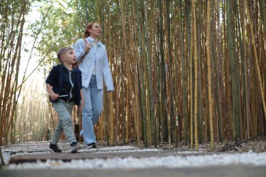 Genç bir çocuk ve bir kadın doğanın tadını çıkarıyor ve bambu koruluğunu keşfediyor.