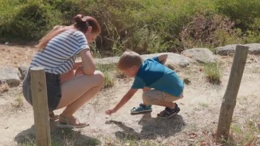 Genç anne ve sevimli oğlu güneşli bir günde parkta doğayı keşfediyorlar.