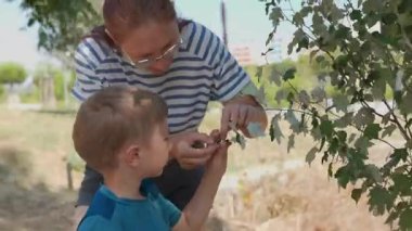 Meraklı küçük çocuk ve annesi yaz parkında yürürken etraflarındaki doğayı keşfediyorlar.
