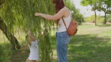 Oyuncu anne ve küçük oğlu parkta kaçmadan önce söğüt ağacı dallarına dokunuyorlar.