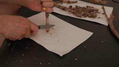 Elleri bir bıçakla ağaç kabuğunu kazıyarak odun kırıntıları oluşturan insanlar.