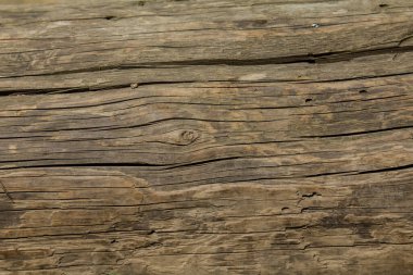 Ahşap doku veya arka plan, yakın görünümü