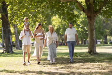 Mutlu çoklu nesil aile güneşli yeşil bir parkta birlikte yürüyorlar.
